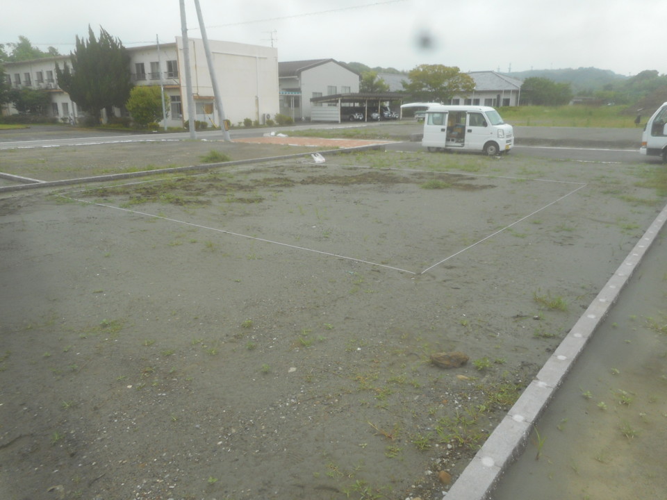 縄張り