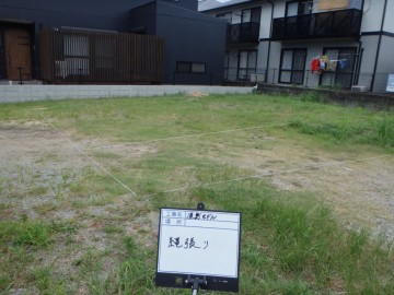 縄張り