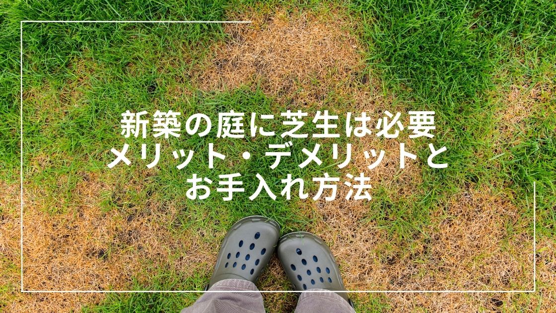 芝コラム